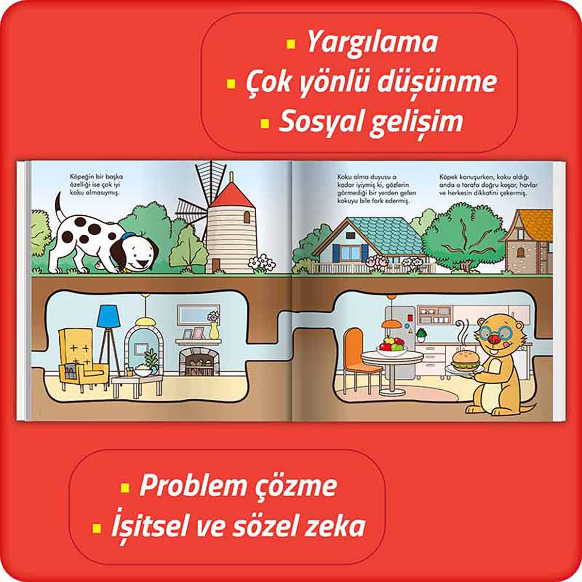 undefined - cc6f9_Koprudeki_Kopek_Doktor_Onayli_Gelisimsel_Hikayeler.jpg
