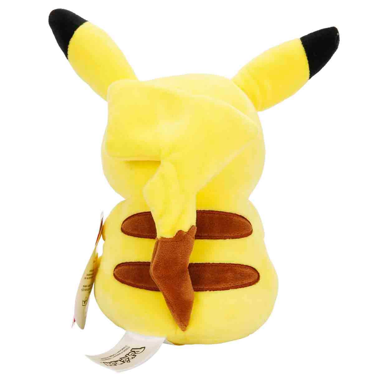 undefined - ce04b_Pokemon_Kanto_Serisi_Pelus.jpg