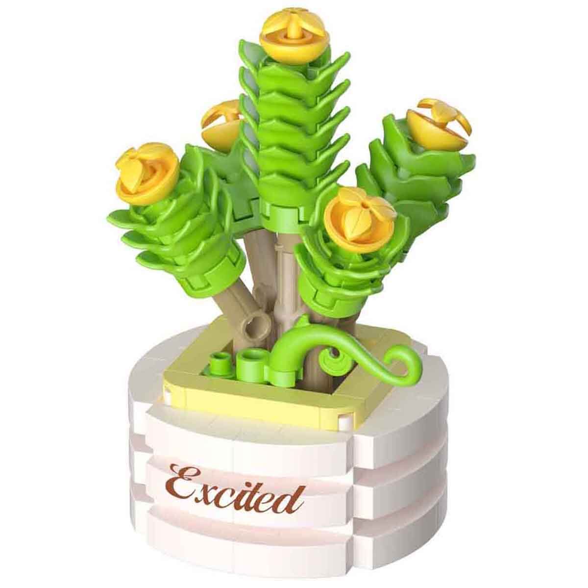 undefined - cfc4d_KOCO_Bloom_Boutique_Saksida_Sukulent_.jpg