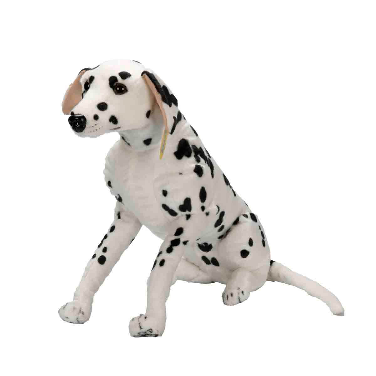undefined - d2d4c_Dalmacyali_68_cm._Pelus.jpg