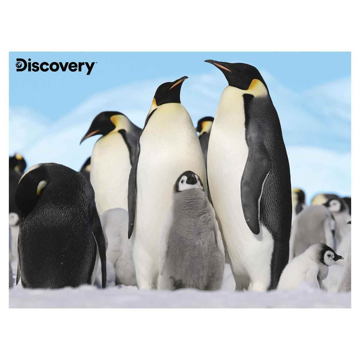 undefined - d3374_48_Parca_3D_Puzzle_ve_Pelus:_Penguen_.jpg