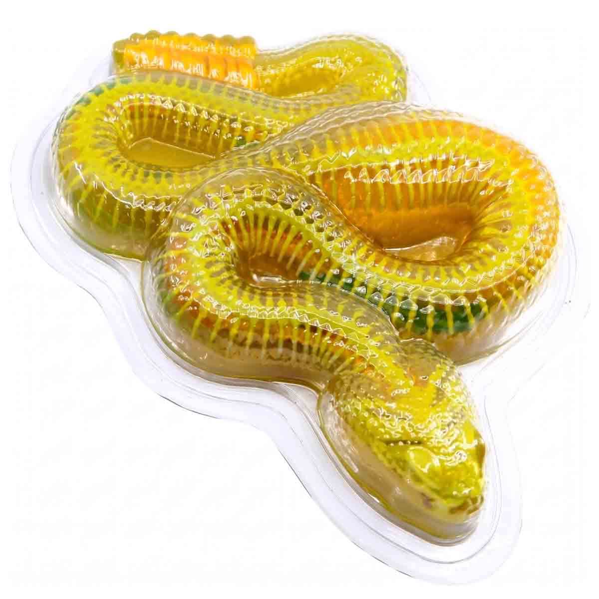 undefined - d4396_Slimy_Cingirakli_Yilan_Iskelet_Anatomi_Inceleme_Se.jpg