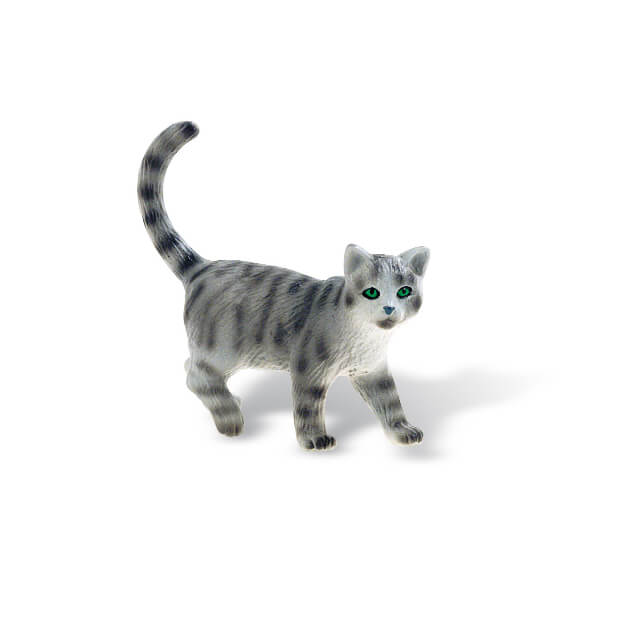 undefined - d57dc_Minka-Kedi.jpg