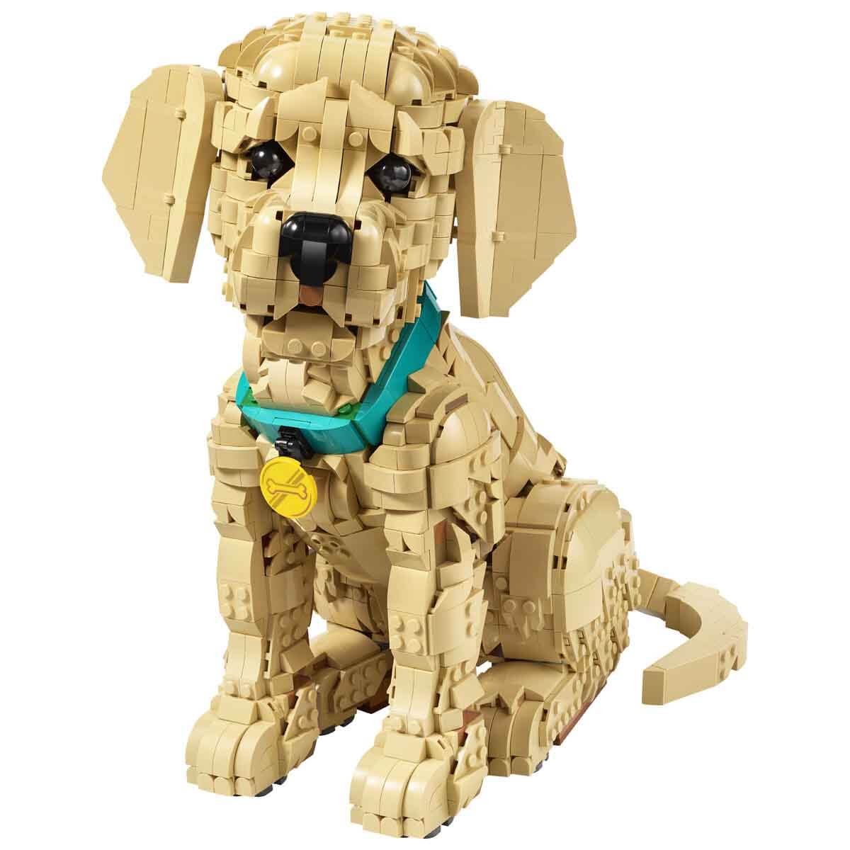 undefined - d6350_LEGO_Icons_Yavru_Golden_Retriever_11384.jpg