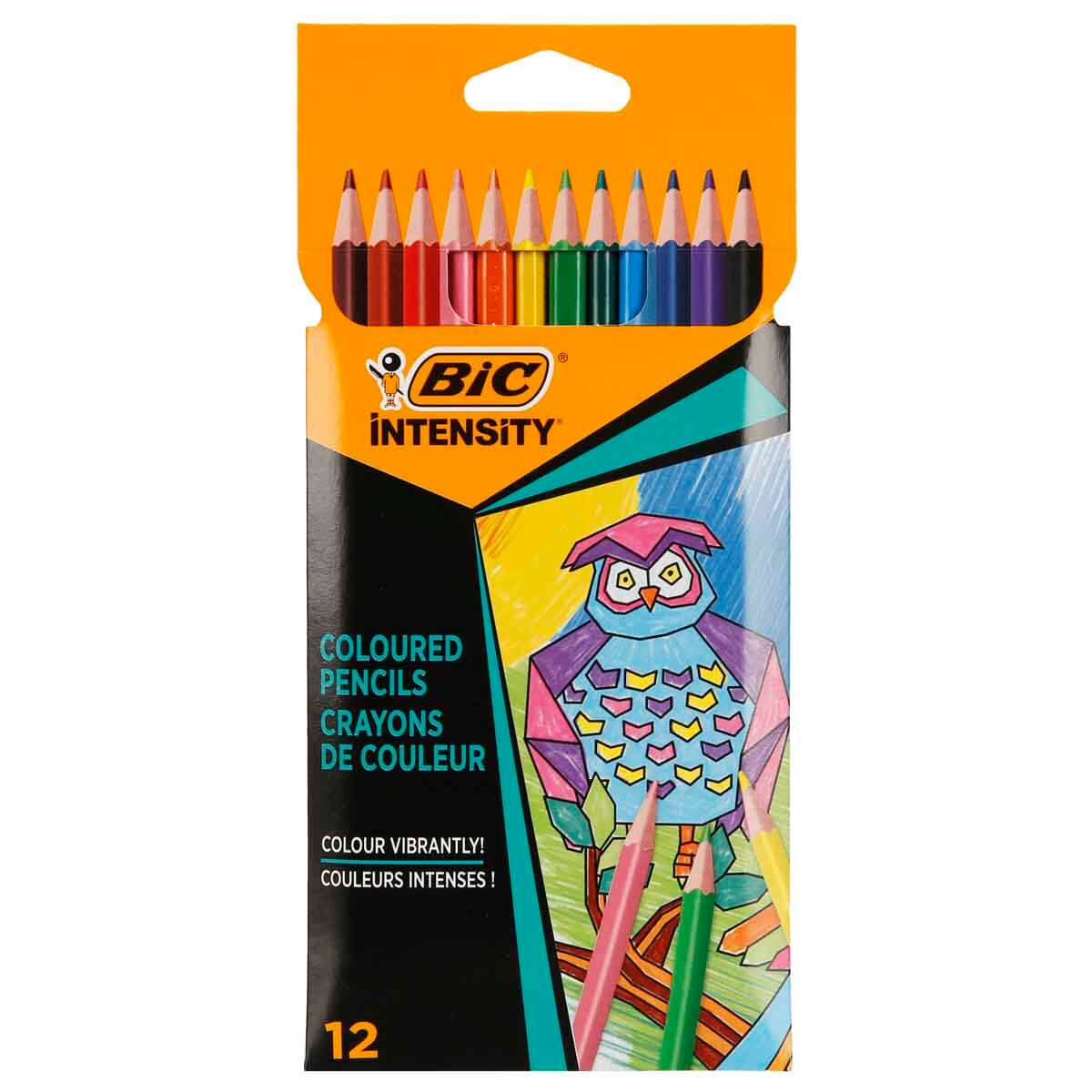 undefined - d7ad8_Bic_Intensity_Kuru_Boya_Kalemi__12___li_.jpg