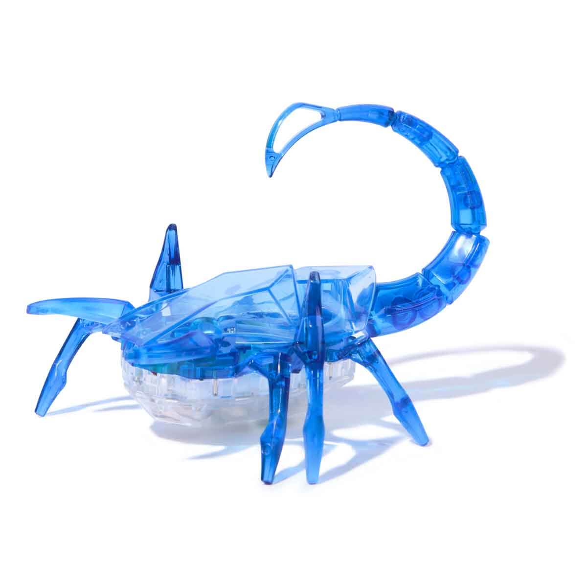 undefined - d7e83_Hex_Bots_Robotik_Akrep.jpg