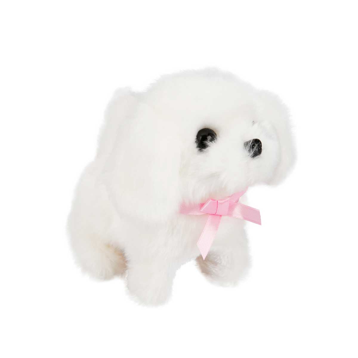undefined - d8889_Jamina_Sevimli_Kopek_Maltese_.jpg