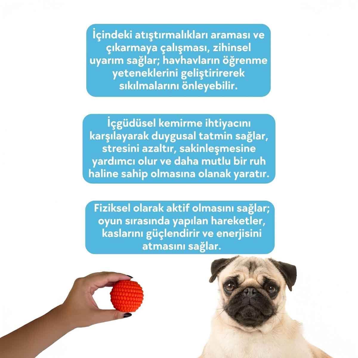 undefined - d9456_Havhav_Mama_Saklamali_Turuncu_Kopek_Oyun_Topu_.jpg