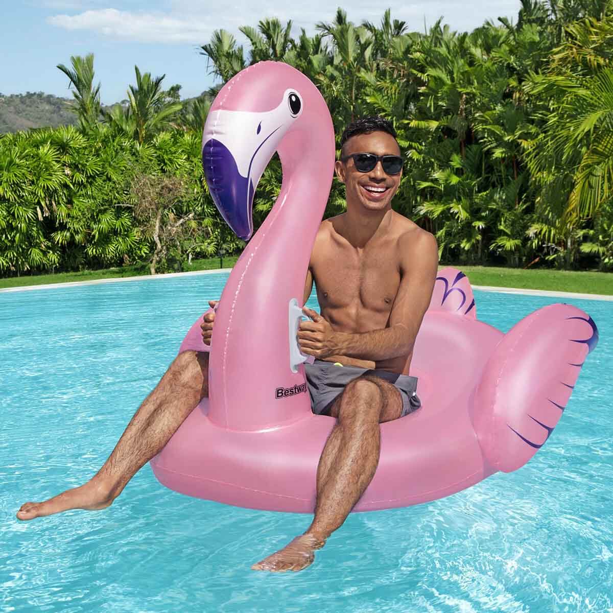undefined - da638_Flamingo_Sisme_Bot.jpg