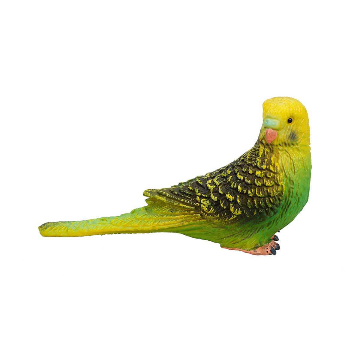 undefined - dc227_Yesil_Muhabbet_Kusu_.jpg