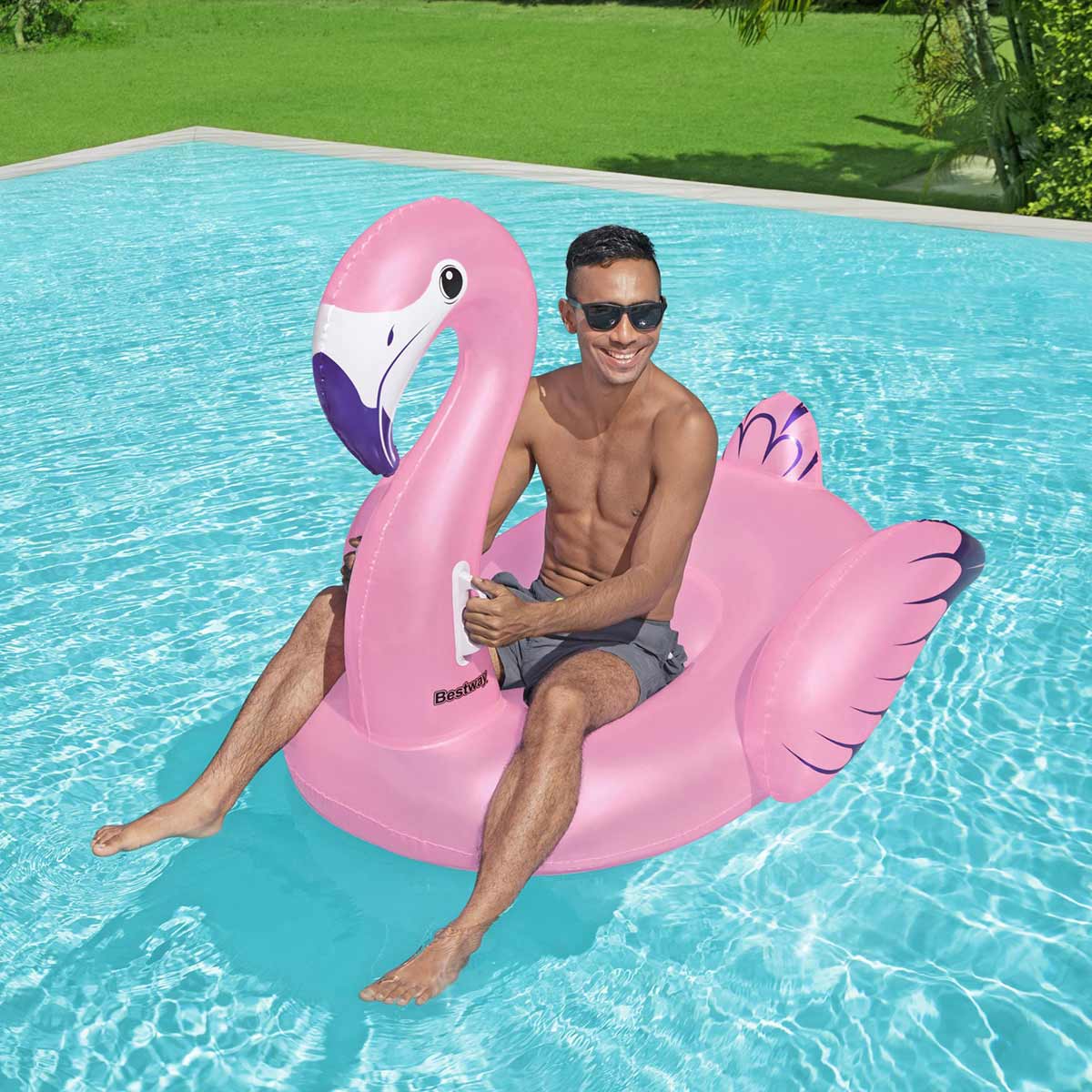 undefined - dcf29_Flamingo_Sisme_Bot.jpg