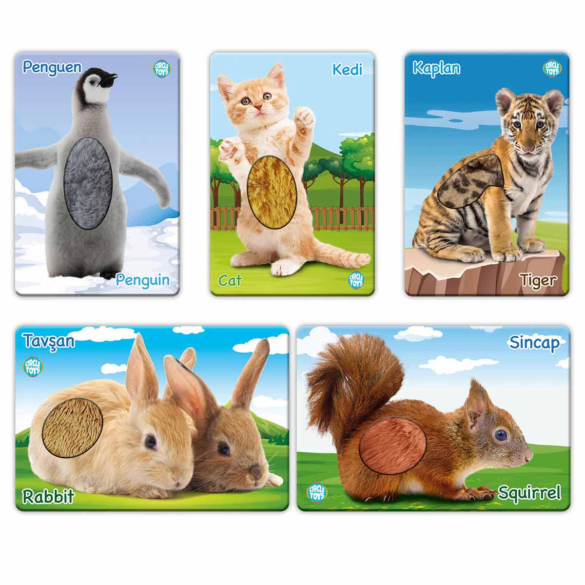 undefined - de87b_Circle_Toys_Dokun_Hisset_Tani_Yavru_Hayvanlar_Egit.jpg