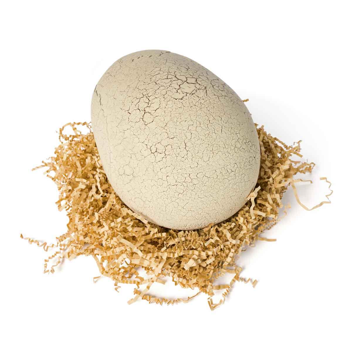 undefined - df923_Sesli_ve_Isikli_Jurassic_World_Primal_Hatch_Intera.jpg
