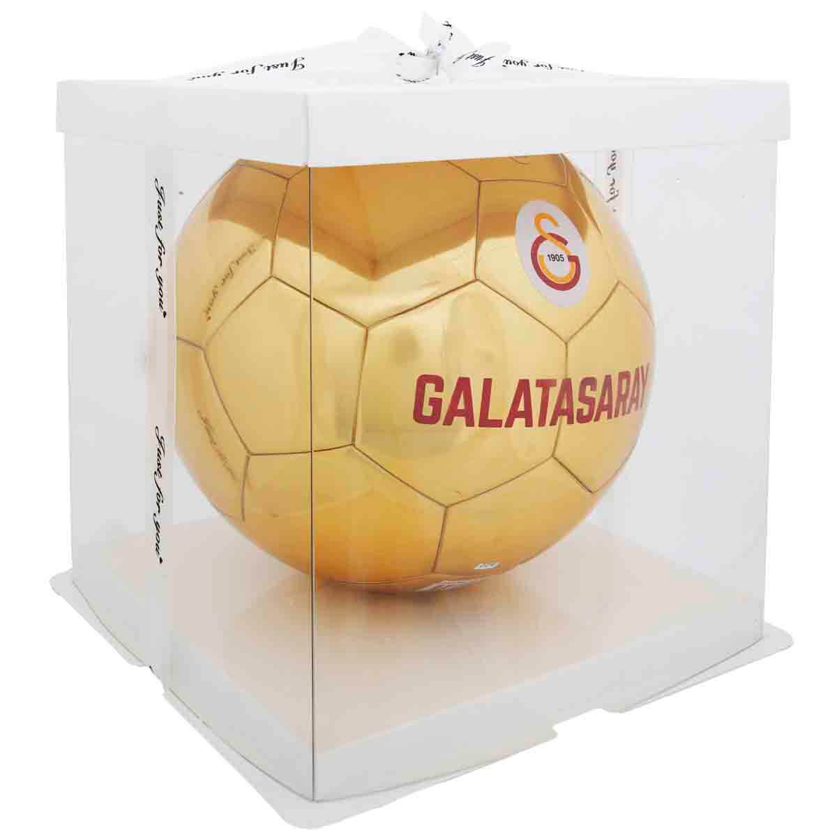 undefined - e4b0c_Galatasaray_Futbol_Topu_GS_7013.jpg
