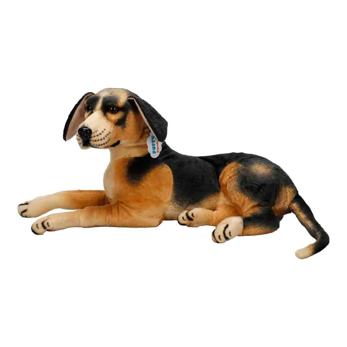 undefined - e62dd_Beagle_Pelus_68_cm..jpg