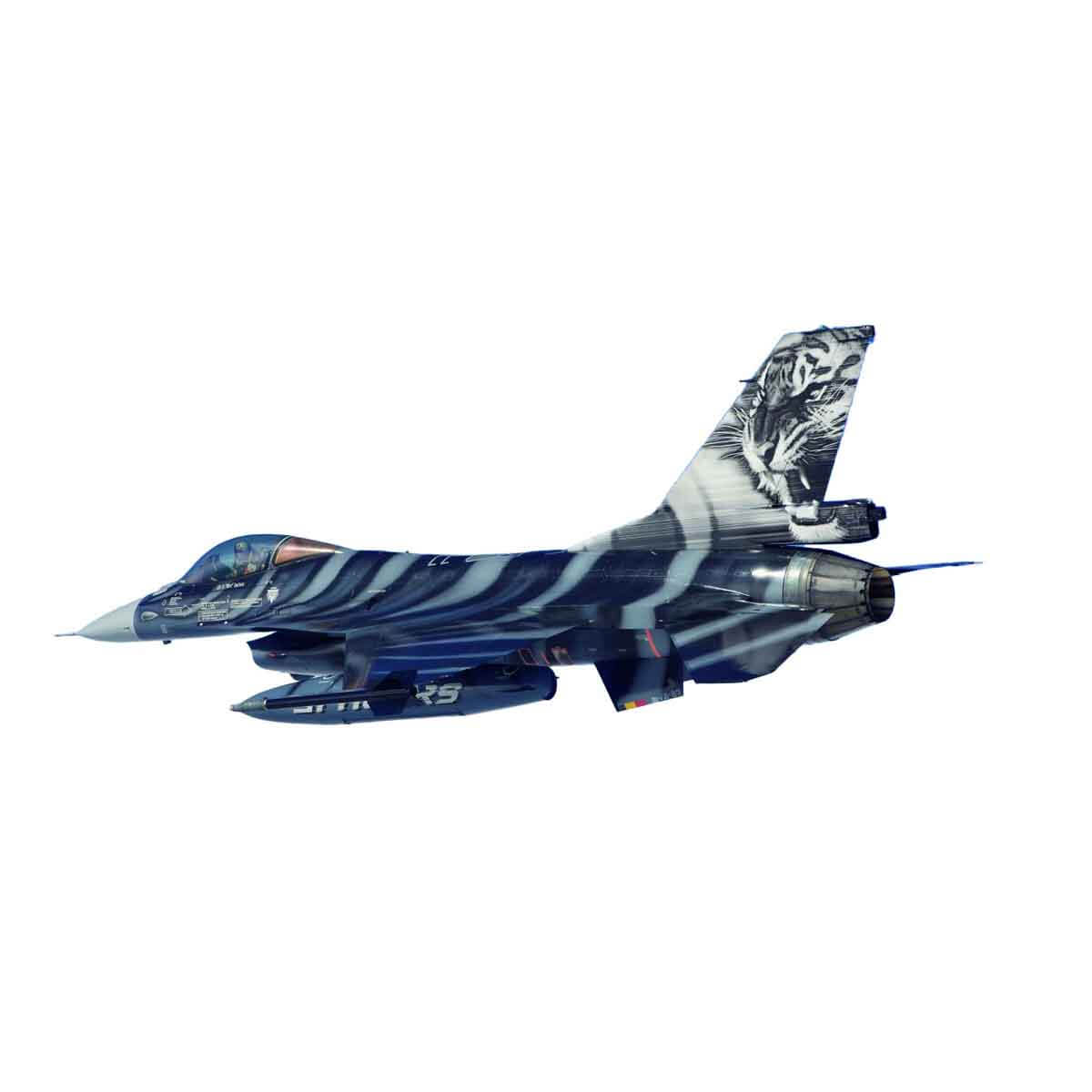 undefined - ed1b8_Revell_1_72_NATO_Tiger_Meet_VG05671.jpg