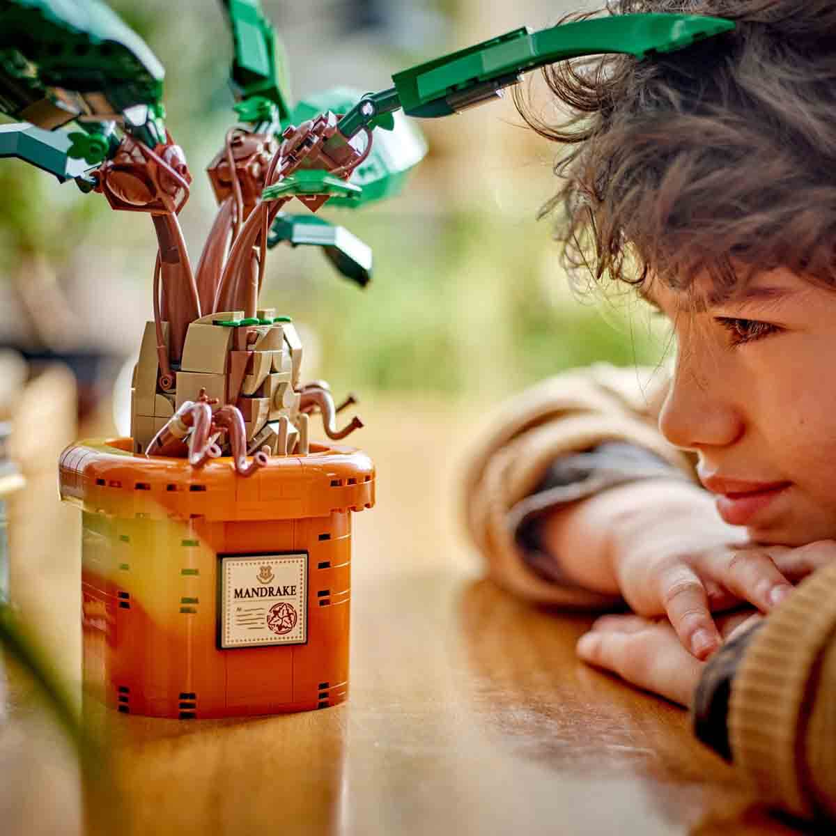 undefined - ed7f3_LEGO_Harry_Potter_Adamotu_76433_.jpg