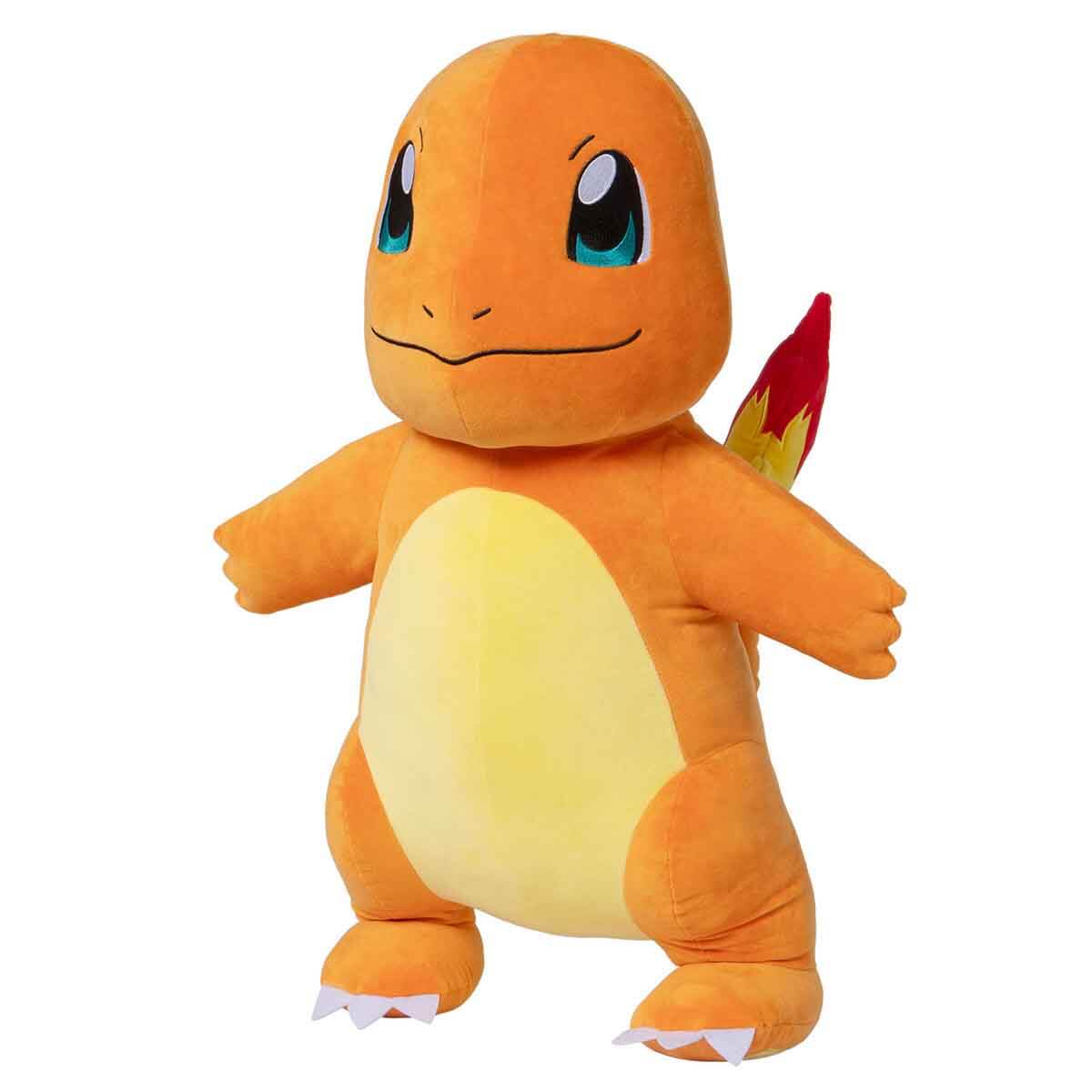 undefined - ef0c5_Pokemon_Kanto_Serisi_Pelus.jpg