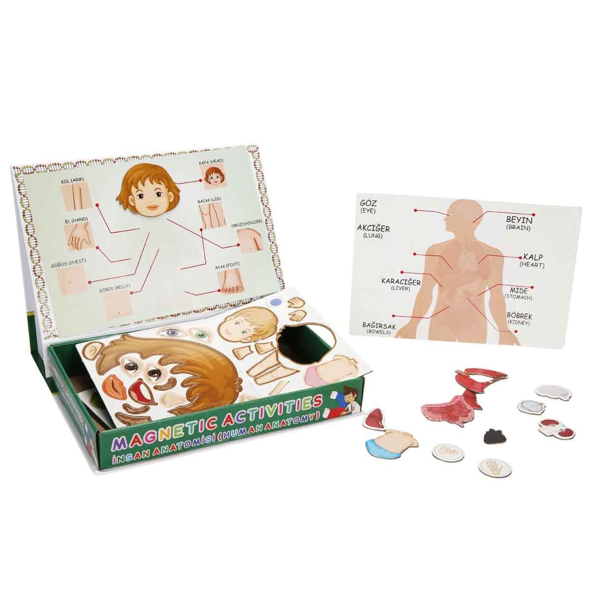 undefined - ef512_Manyetik_Insan_Anatomisi_Aktivite_Oyun_Seti_58_Par.jpg
