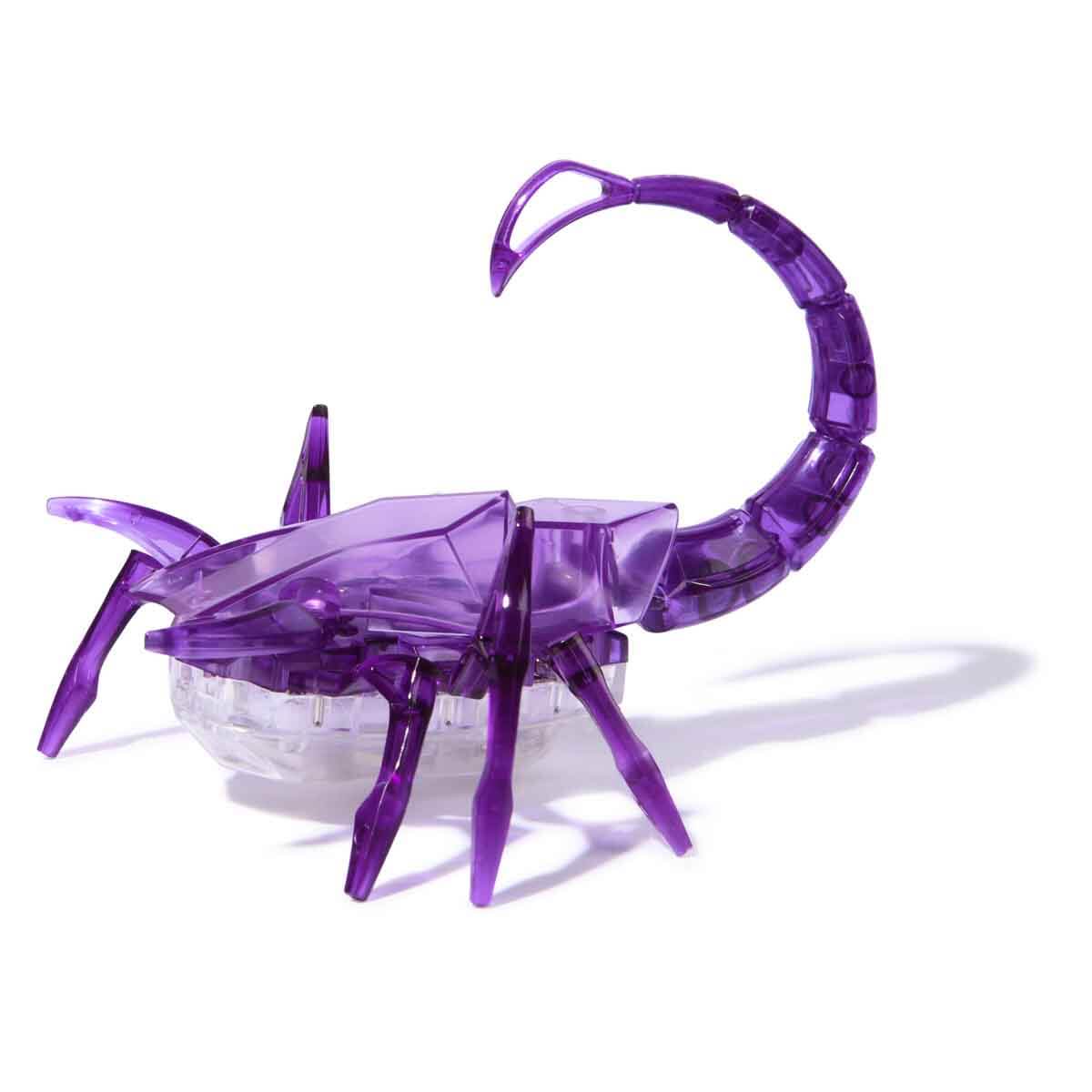 undefined - ef562_Hex_Bots_Robotik_Akrep.jpg