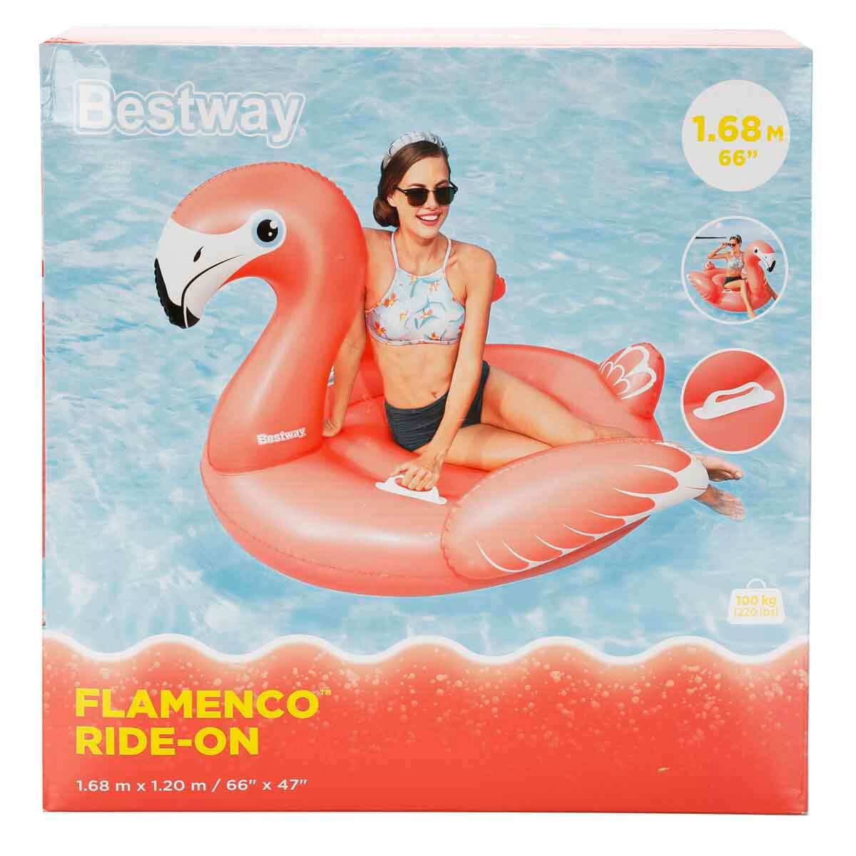 undefined - f6159_Flamingo_Sisme_Bot_41526.jpg