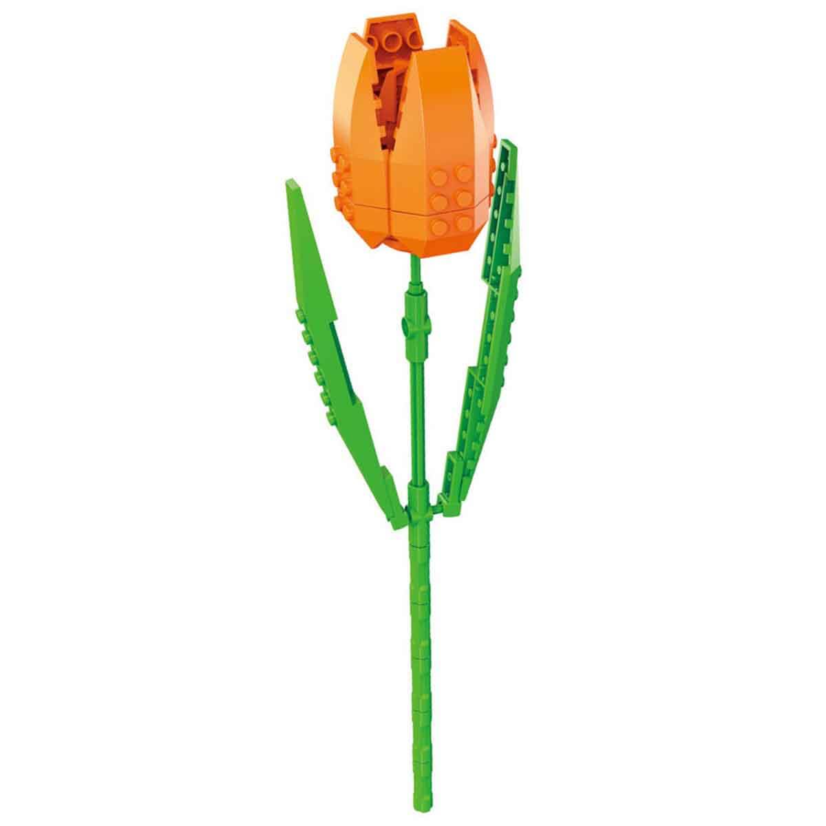 undefined - fc076_BLX_Flower_Turuncu_Lale_JK26201.jpg